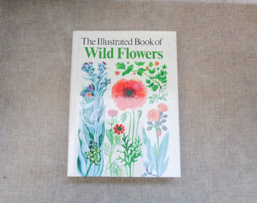 The Illustrated Book of Wild Flowers by B.E Nicholson S. Ary - Etsy