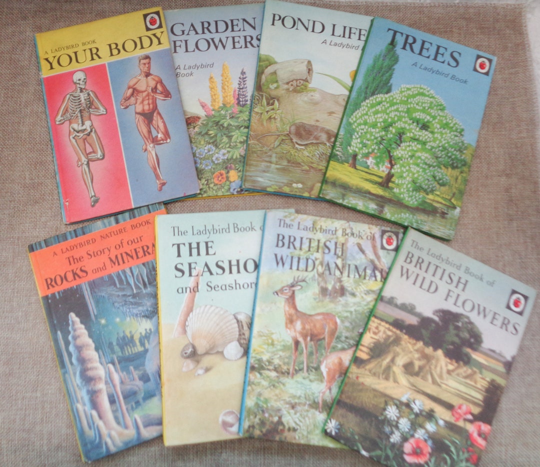 ４５冊 レディバードブックスなど  LADYBIRD BOOKS 英語 絵本 45冊 レディバードブックスなど LADYBIRD BOOKS 英語 絵本 本