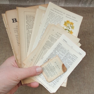 50 x Páginas de livros pequenos antigos e vintage para artesanato (pacote de 7 x 5 polegadas)