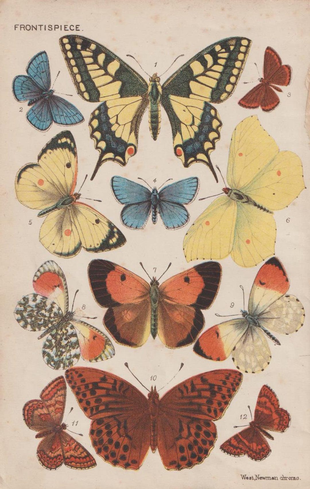 magnifique calendrier chromo découpis floral scène d'interieur entre