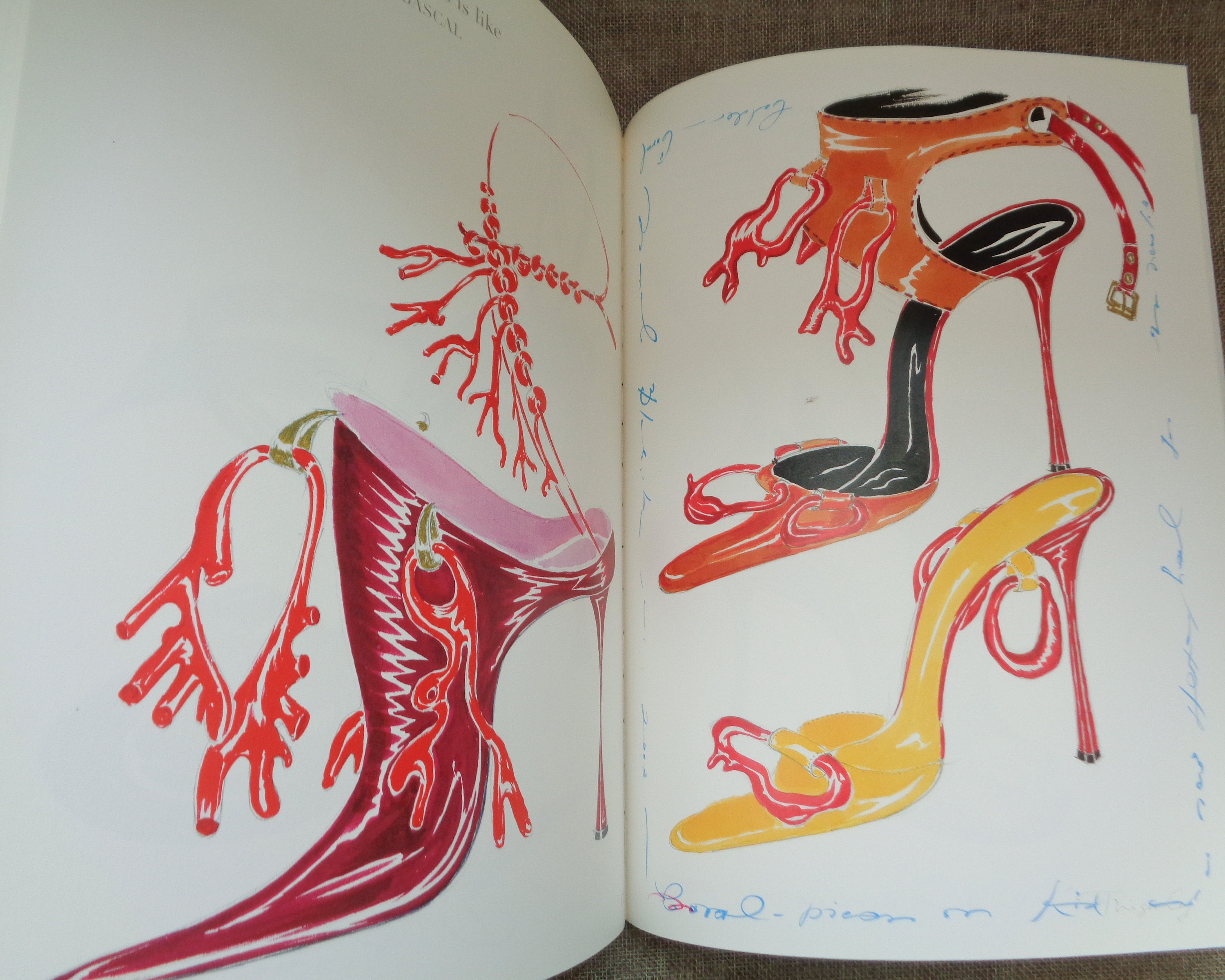 Manolo Blahnik Drawings Thames Hudson Book - Softcover by Anna 
