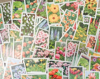 Random Pack of 10 x Vintage 1938 Gallaher 'Garden Flowers' Cigarette Cards