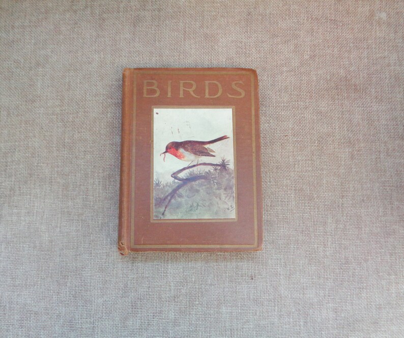 Birds by M.K.C Scott HB 'As Shown' Series Circa 1930s 48 Coloured Plates image 1