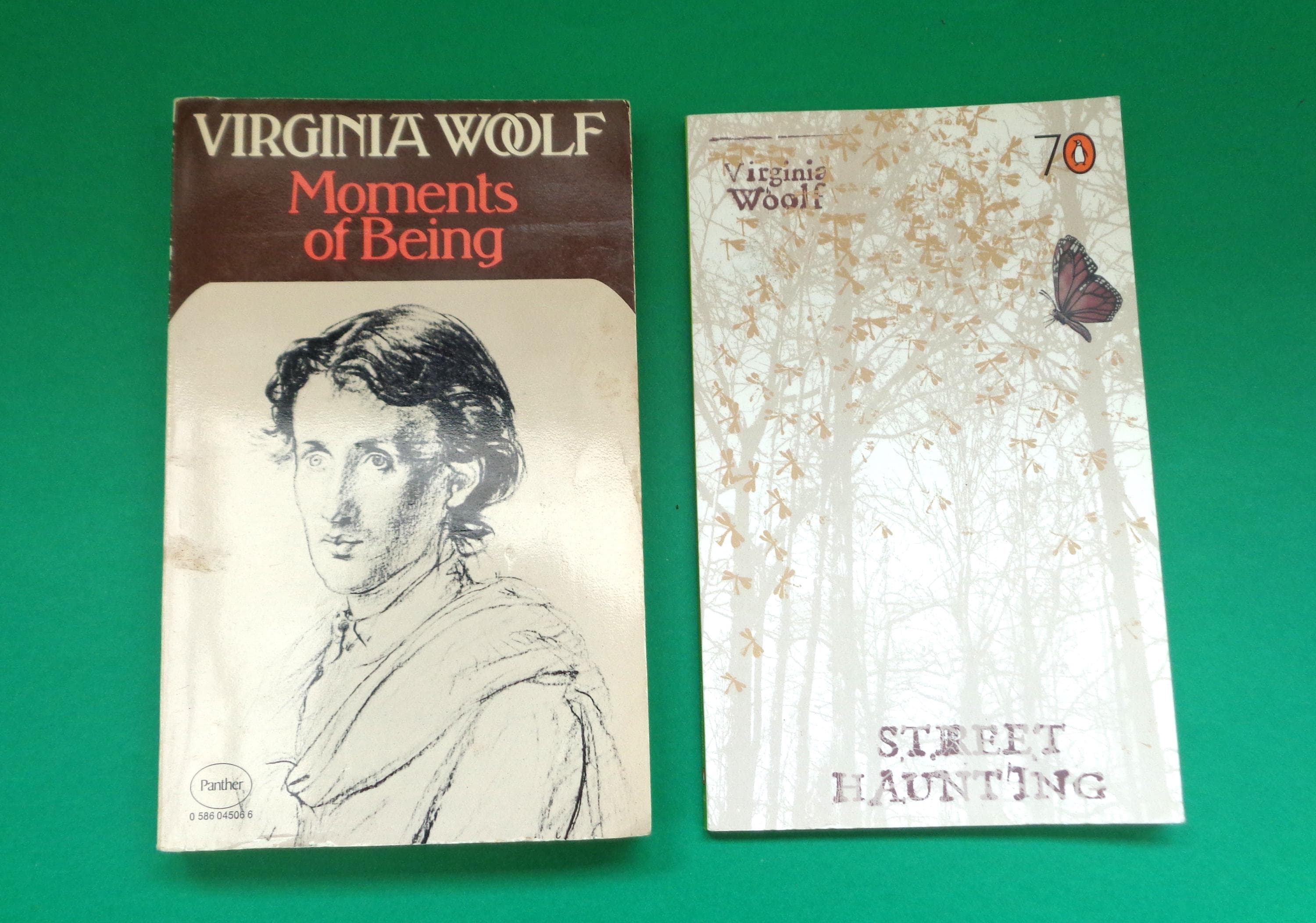 Vintage Virginia Woolf Books - Various Titles - Panther and