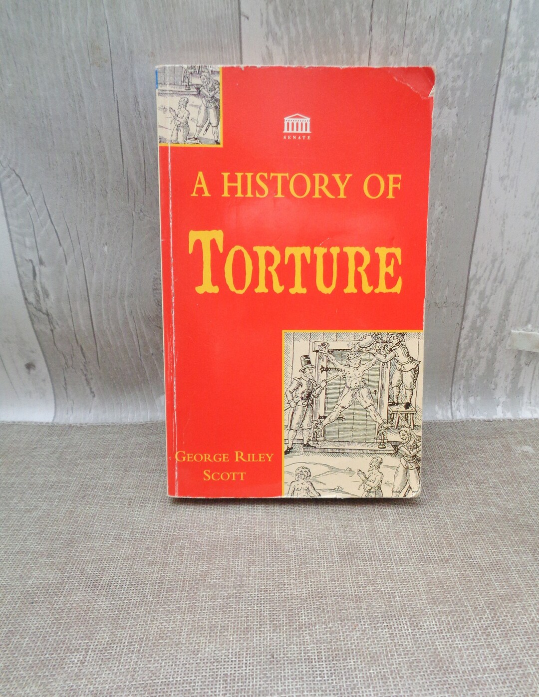 A History of Torture by George Riley Scott PB Senate Books 1995 - Etsy