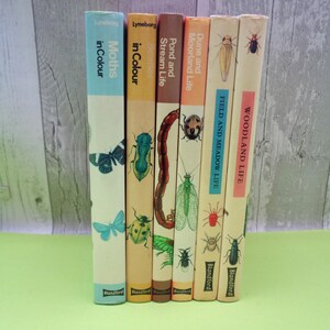 May include: A set of six vintage paperback books about nature, featuring colorful illustrations of insects and the text "Woodland Life", "Field and Meadow Life", "Dune and Moorland Life", "Pond and Stream Life", "Moths in Colour", and "In Colour".