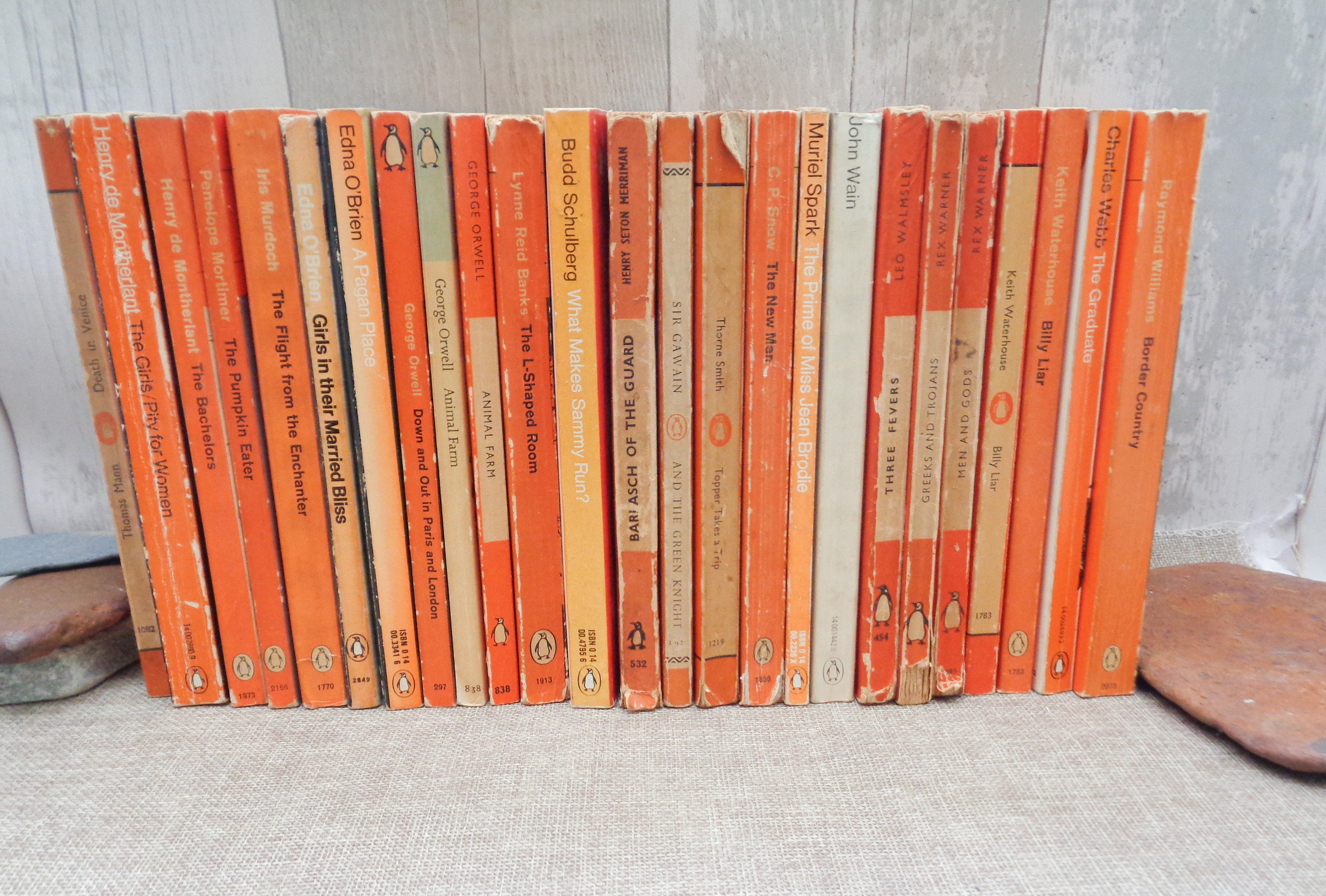 ボ－ヴォワ－ル 老い Old Age Beauvoir 英訳 Penguin Modern Classics
