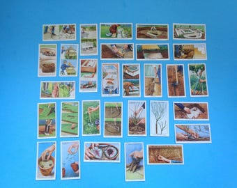 Garden Hints