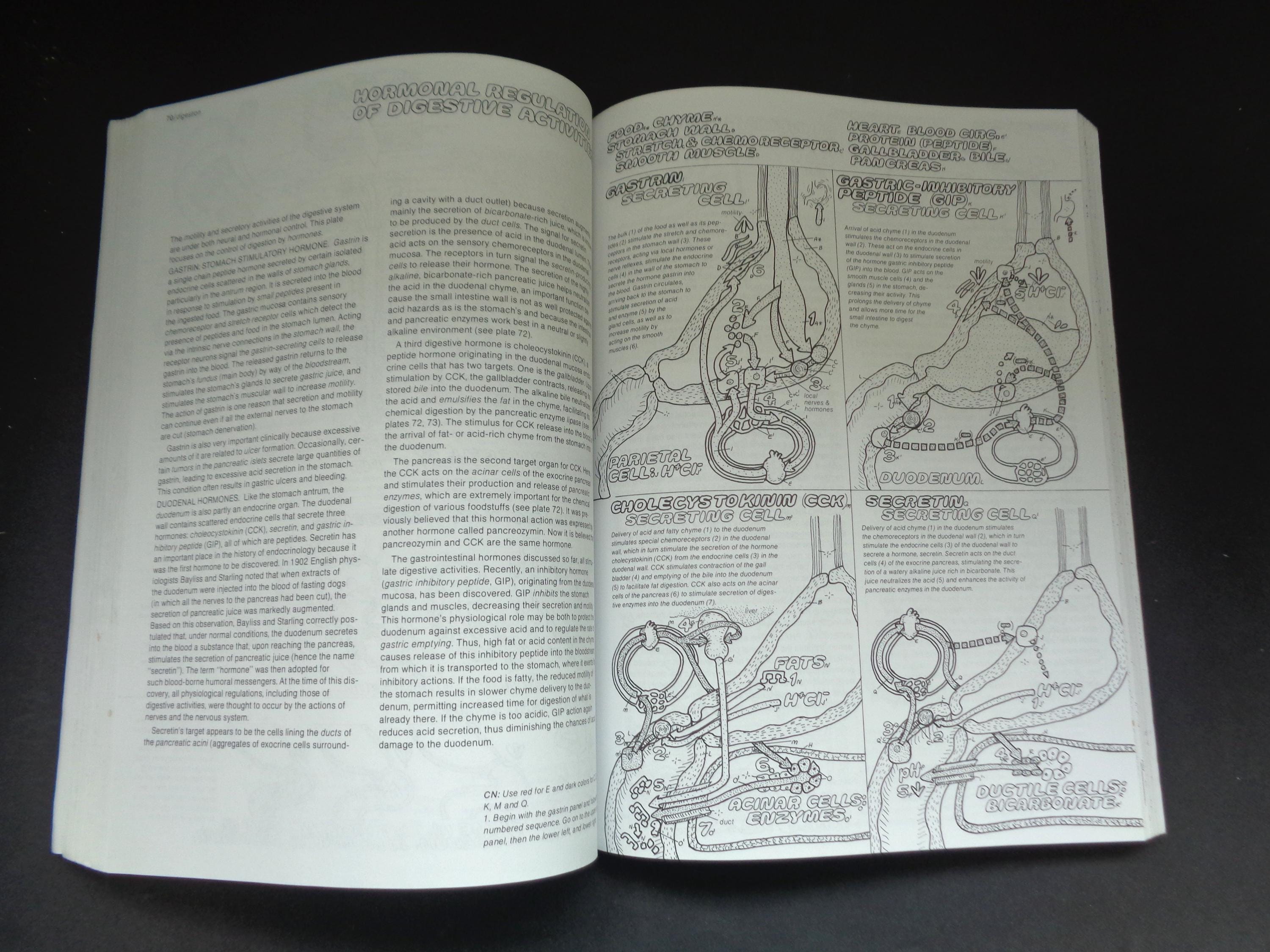 The Physiology Coloring Book by Wynn Kapit/lawrence M Elson - Etsy