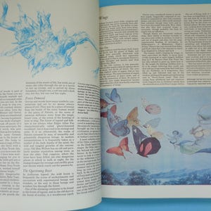 May include: A book open to a page with text about the wild wood and a colorful illustration of fairies and butterflies flying over a landscape. The text includes the words "Wild Wood" and "Forest Primal".