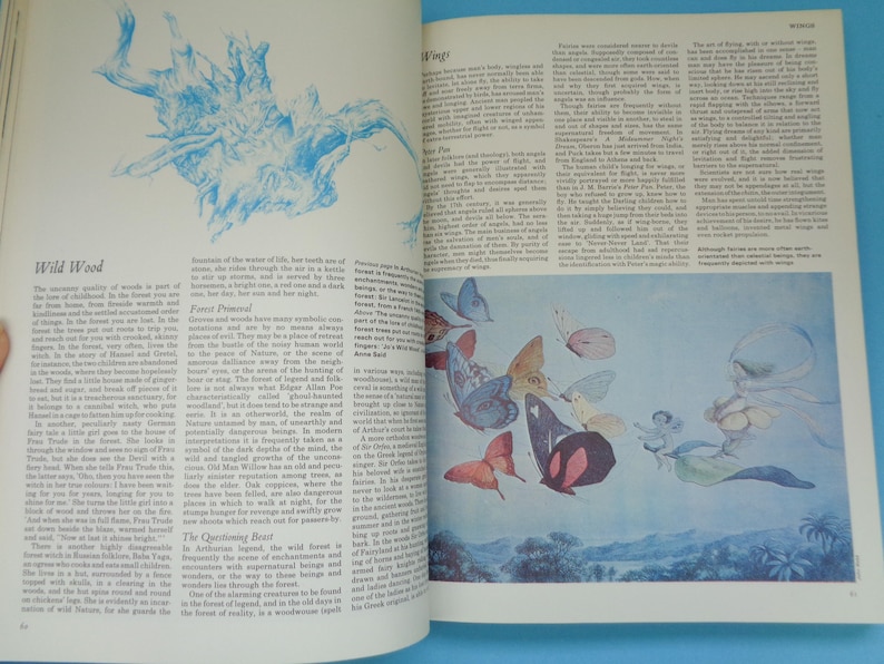 May include: A book open to a page with text about the wild wood and a colorful illustration of fairies and butterflies flying over a landscape. The text includes the words "Wild Wood" and "Forest Primal".