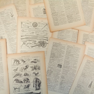 30 x antike französische Enzyklopädie Seiten - ideal für Kunsthandwerk/Kartenherstellung/Papierkunst/Vintage Papier/Scrapbooking