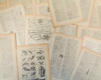 30 x Antique French Encyclopedia Pages - Ideal for Crafts/Card Making/ Paper Arts/ Vintage Paper/Scrapbooking