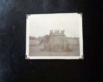 Antique Circa 1900 Photo - Elephant Ride in India