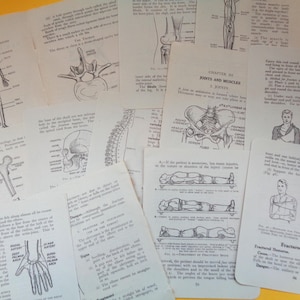 20 páginas vintage de primeros auxilios y medicina de los años 50 para manualidades