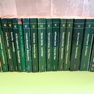 Vintage Virago Modern Classics Paperback Books - Various Titles - Women Writers