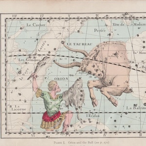 Illustration d'une page de livre de carte céleste antique - Orion et le taureau