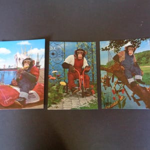 3 cartoline kitsch vintage degli anni '70 con scimpanzé