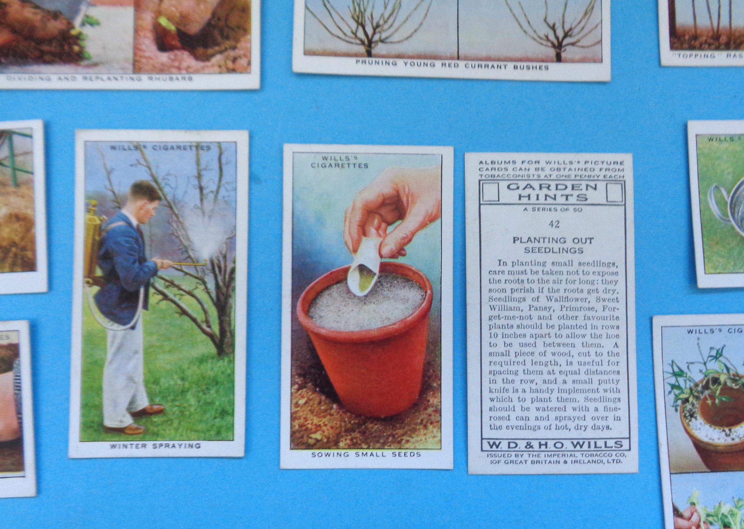 wills cigarette cards garden hints Garden Hints - Complete Set of 50 Vintage 1938 Wills Cigarette Cards