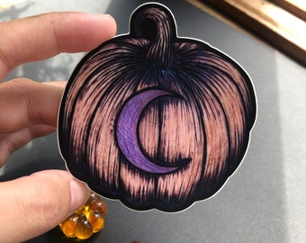 Free Shipping Set of Two Moon Pumpkin Vinyl Stickers