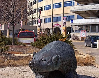 Camp Randall - Madison, Wisconsin color and black &white photograph