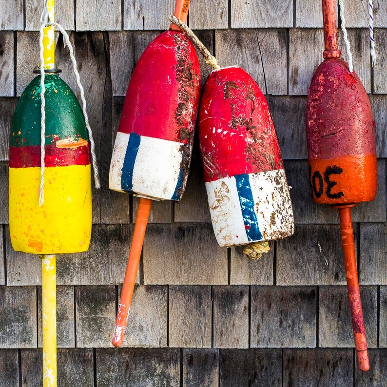 Colorful Lobster Buoys on Shed Wall Lobster Shack Cape Neddick Maine
