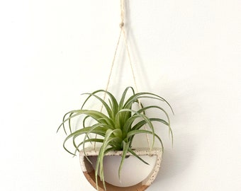 Ceramic Air Plant Hanging Display Small | Stoneware Pottery