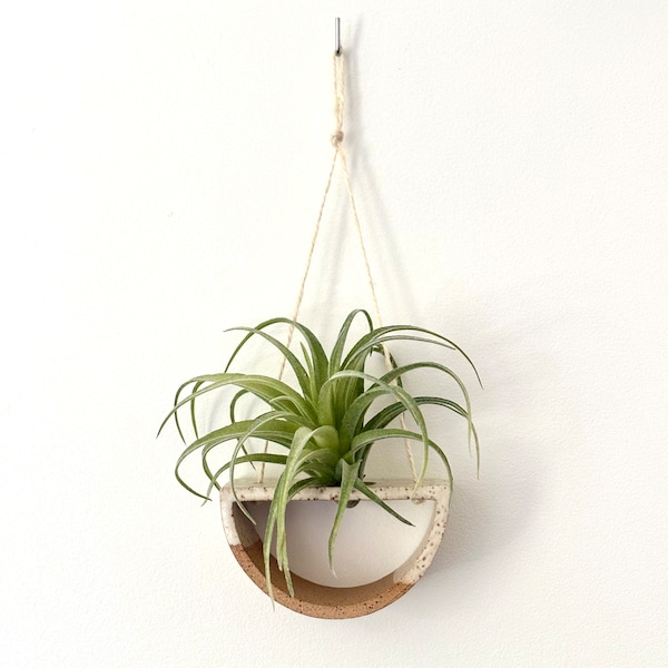 Ceramic Air Plant Hanging Display Small | Stoneware Pottery