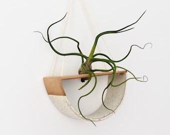 Ceramic Air Plant Hanging Display | Stoneware Pottery