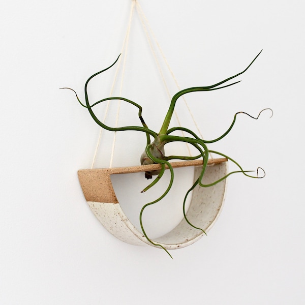 Ceramic Air Plant Hanging Display | Stoneware Pottery