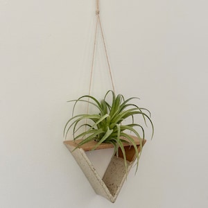 Ceramic Air Plant Hanging Display | Stoneware Pottery