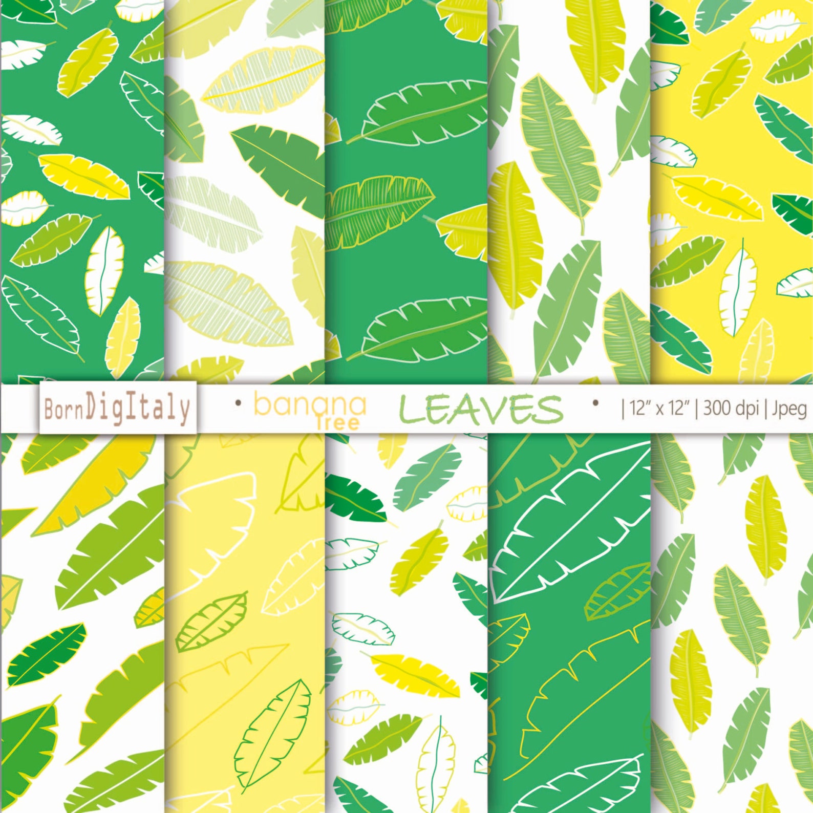 Banana leaves are stalked or sessile picture