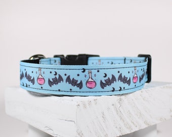 Bats and Potions Dog Collar, Magical Bat Collar, Black Bats and Pink Potion Magic Spell Collar, 1 Inch, Adjustable Dog Collar
