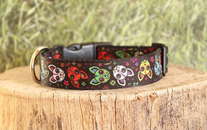 Sugar Skull Dog Collar Day of the Dead Dog Collar 1 Inch Dog - Etsy
