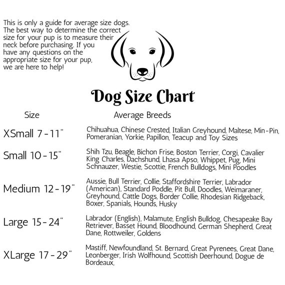 Top Paw Collar Size Chart