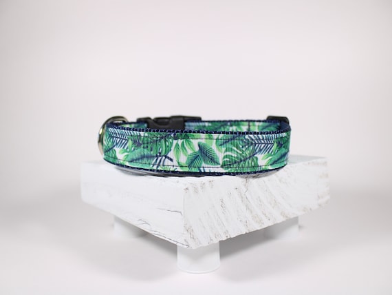 Houseplant Dog Collar, Plant Lover Dog Collar, Monstera Pothos Philodendron  Plant Dog Collar 1 Inch, Adjustable Dog Collar - Etsy