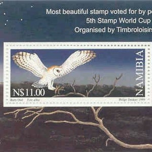 Op de afbeelding: Een postzegel uit Namibië met een kerkuil in vlucht tegen een nachtelijke sterrenhemel. De postzegel is afkomstig van de 5e Wereldbeker voor postzegels uit 1999, georganiseerd door Timbroloisirs, Frankrijk. De postzegel heeft een waarde van N$11.00.