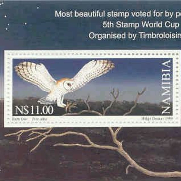 Gorgeous!  Namibia 1999 Owl S/S Souvenir Sheet Mint Never Hinged ** MNH Most Beautiful Stamp 5th Stamp World Cup  ~ New Price! For 3 or more
