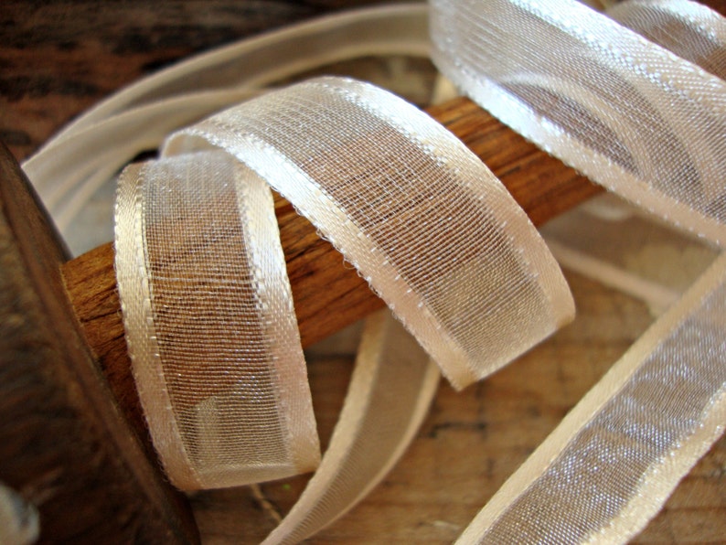 2 Yards Soft Peach Sheer Stripe Edge Ribbon