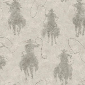 Sfondo silhouette cowboy Stockman