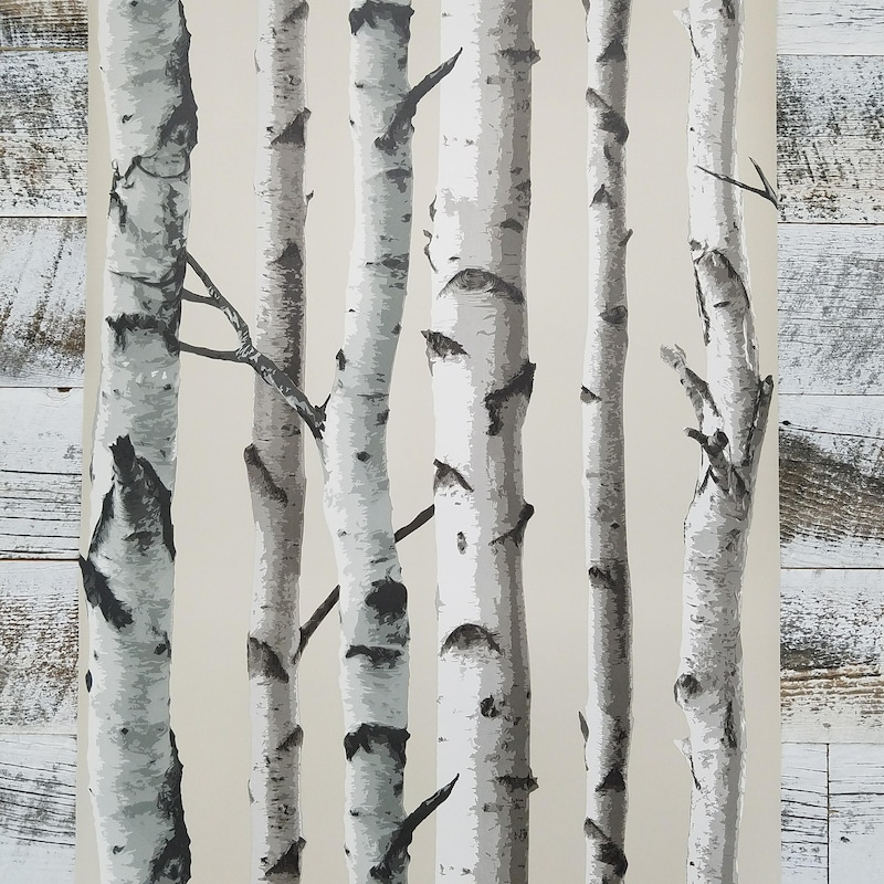 Wallpaper Trees Birch - Etsy