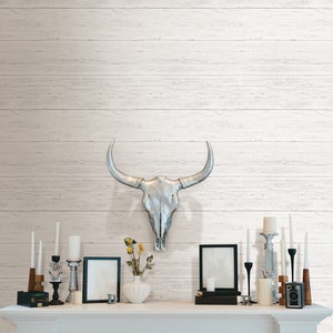 May include: A whitewashed wood wall with a silver bull skull mounted on it. The wall is decorated with candles, vases, and framed pictures.