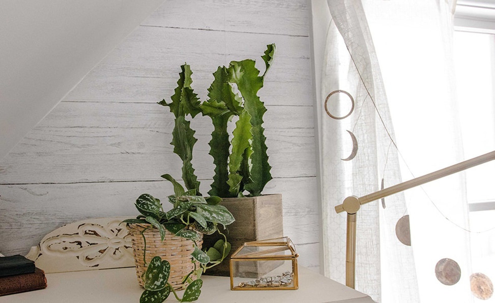 Shiplap Reclaimed Wood Peel and Stick Farmhouse Wallpaper Etsy