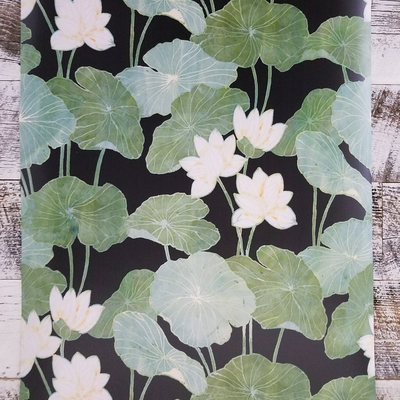Roommates Lily Pads Peel and Stick Black and Green Wallpaper RMK11245RL