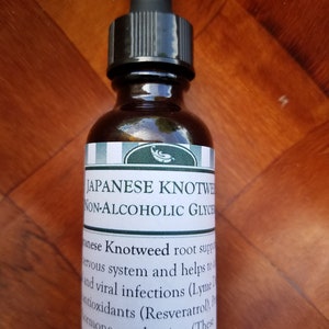 Japanese Knotweed Glycerite or Tincture