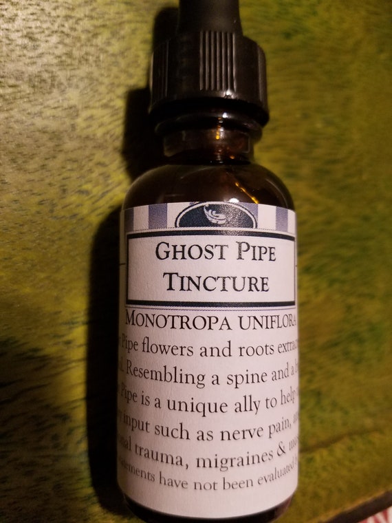 Ghost Pipe Tincture Etsy