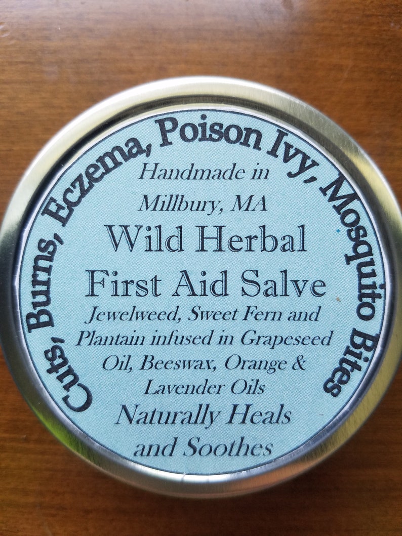Wild Herbal First Aid Salve Wildcrafted for Poison Ivy Etsy