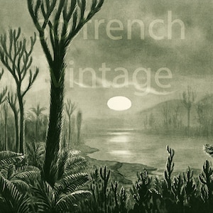 May include: A black and white illustration of a prehistoric landscape with a large, bright moon in the sky. The scene features a lake with a shoreline and a variety of trees and plants, including ferns and tall, slender trees with branching tops.
