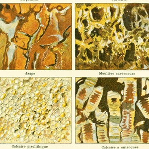 May include: A close-up image of four different types of rock formations. The top left image shows a brown and yellow jasper rock. The top right image shows a yellow and brown cavernous rock. The bottom left image shows a yellow and white pisolitic limestone rock. The bottom right image shows a yellow and brown limestone rock with entroques.