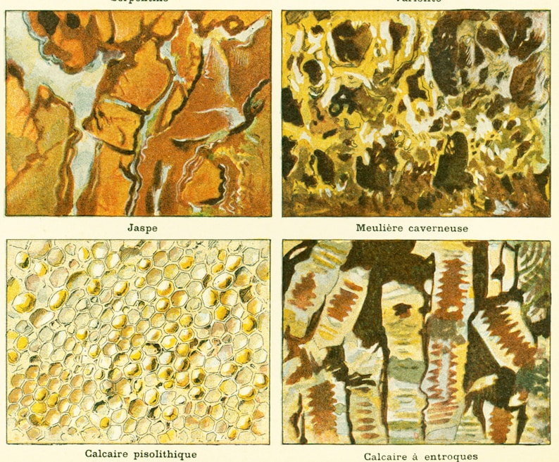 May include: A close-up image of four different types of rock formations. The top left image shows a brown and yellow jasper rock. The top right image shows a yellow and brown cavernous rock. The bottom left image shows a yellow and white pisolitic limestone rock. The bottom right image shows a yellow and brown limestone rock with entroques.